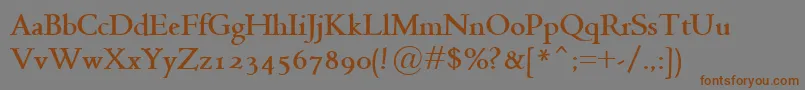 JensonClassicoBold Font – Brown Fonts on Gray Background