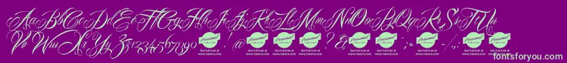 Mardiandemo Font – Green Fonts on Purple Background