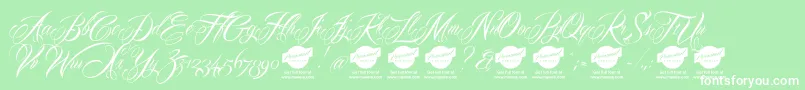Mardiandemo Font – White Fonts on Green Background