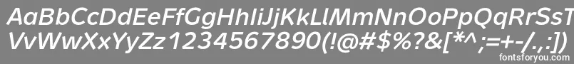 フォントMetronLightProBoldItalic – 灰色の背景に白い文字