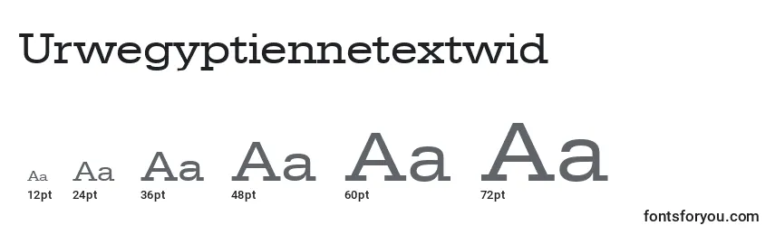Размеры шрифта Urwegyptiennetextwid