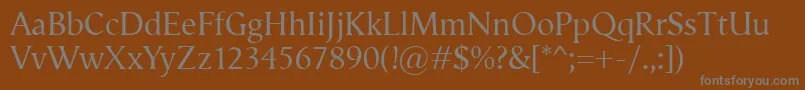VegaAntikva Font – Gray Fonts on Brown Background