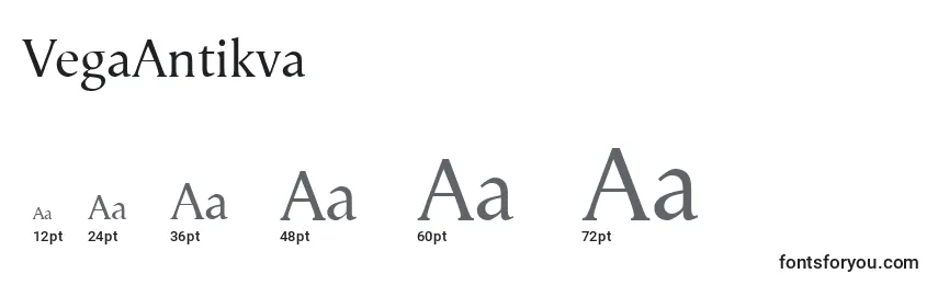 Размеры шрифта VegaAntikva