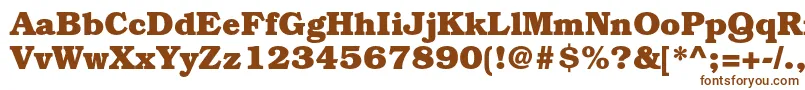 BookmanstdBold Font – Brown Fonts on White Background