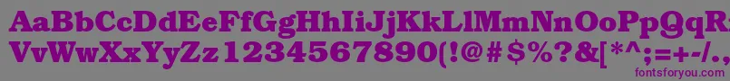 BookmanstdBold Font – Purple Fonts on Gray Background