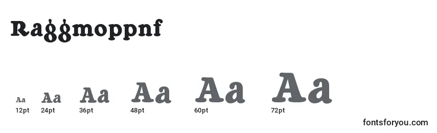 Размеры шрифта Raggmoppnf (65904)