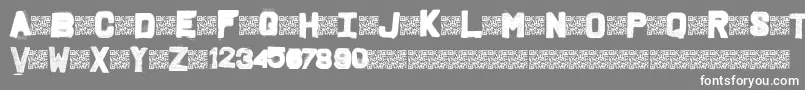 Fridgeletters Font – White Fonts on Gray Background