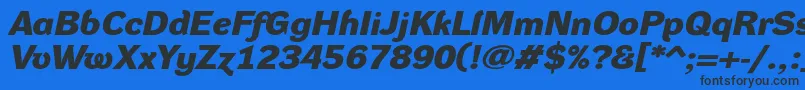 DynagroteskdxeBolditalic-Schriftart – Schwarze Schriften auf blauem Hintergrund