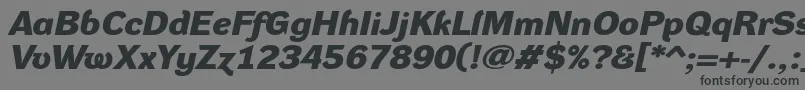 DynagroteskdxeBolditalic Font – Black Fonts on Gray Background