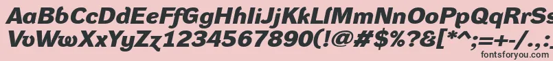 フォントDynagroteskdxeBolditalic – ピンクの背景に黒い文字