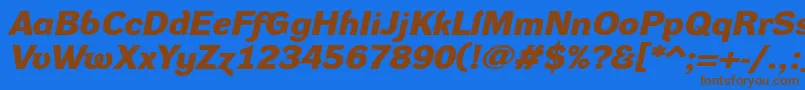 DynagroteskdxeBolditalic Font – Brown Fonts on Blue Background