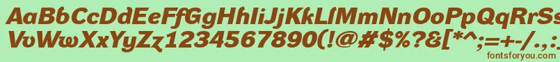 DynagroteskdxeBolditalic Font – Brown Fonts on Green Background