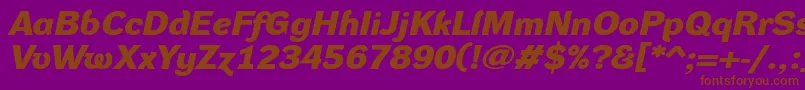 DynagroteskdxeBolditalic Font – Brown Fonts on Purple Background