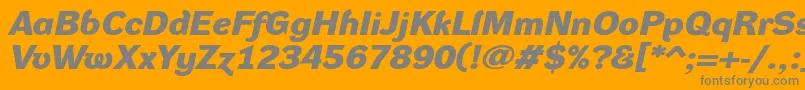 Police DynagroteskdxeBolditalic – polices grises sur fond orange
