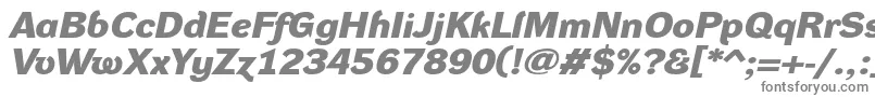 フォントDynagroteskdxeBolditalic – 白い背景に灰色の文字