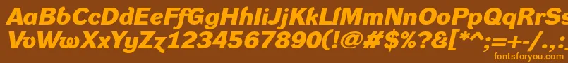 DynagroteskdxeBolditalic-Schriftart – Orangefarbene Schriften auf braunem Hintergrund