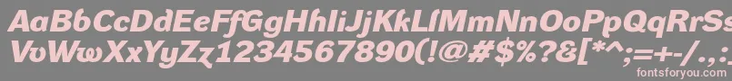 フォントDynagroteskdxeBolditalic – 灰色の背景にピンクのフォント