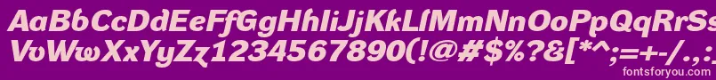 DynagroteskdxeBolditalic-Schriftart – Rosa Schriften auf violettem Hintergrund