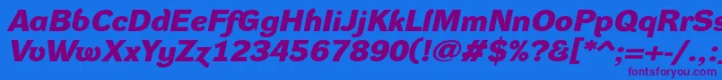 DynagroteskdxeBolditalic Font – Purple Fonts on Blue Background