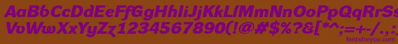 DynagroteskdxeBolditalic Font – Purple Fonts on Brown Background