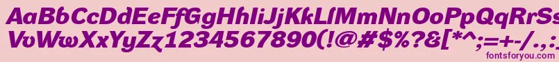 DynagroteskdxeBolditalic-Schriftart – Violette Schriften auf rosa Hintergrund