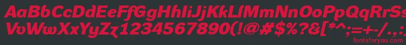 DynagroteskdxeBolditalic Font – Red Fonts on Black Background