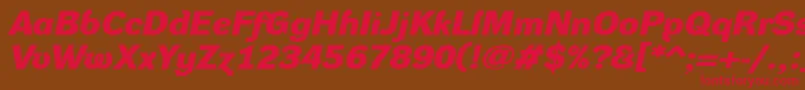 DynagroteskdxeBolditalic Font – Red Fonts on Brown Background