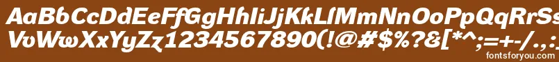 DynagroteskdxeBolditalic-Schriftart – Weiße Schriften auf braunem Hintergrund