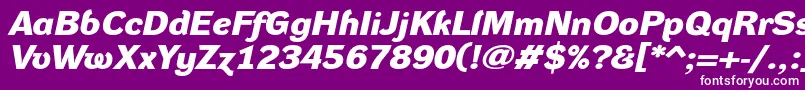 DynagroteskdxeBolditalic-Schriftart – Weiße Schriften auf violettem Hintergrund