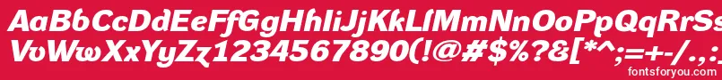 DynagroteskdxeBolditalic Font – White Fonts on Red Background