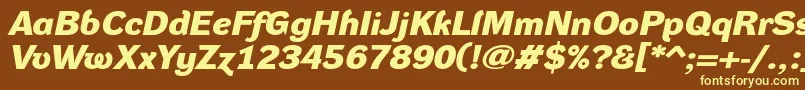 DynagroteskdxeBolditalic Font – Yellow Fonts on Brown Background