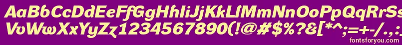 DynagroteskdxeBolditalic Font – Yellow Fonts on Purple Background