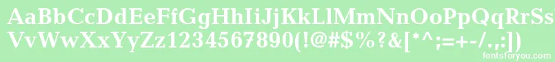 CandidastdBold Font – White Fonts on Green Background