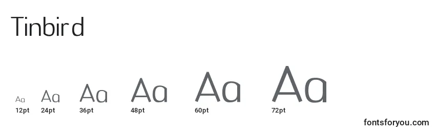 Tinbird Font Sizes
