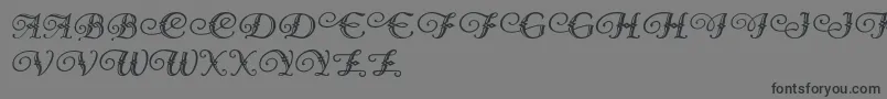 DiamondDreams-Schriftart – Schwarze Schriften auf grauem Hintergrund
