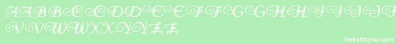 DiamondDreams Font – White Fonts on Green Background