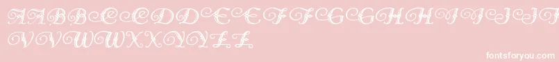 DiamondDreams Font – White Fonts on Pink Background