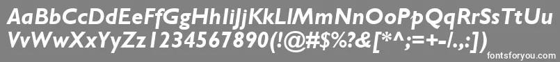 GillSansMtBoldItalic Font – White Fonts on Gray Background