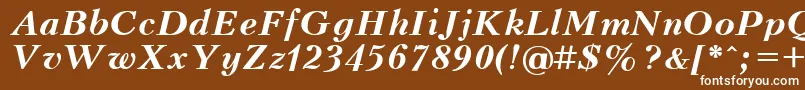 UkrainiankudriashovBolditalic Font – White Fonts on Brown Background