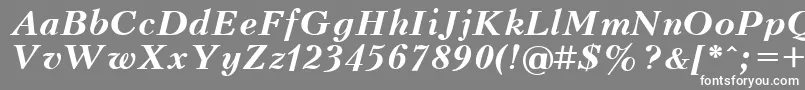 UkrainiankudriashovBolditalic Font – White Fonts on Gray Background