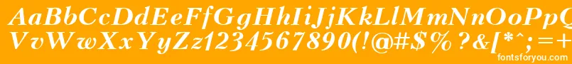 UkrainiankudriashovBolditalic Font – White Fonts on Orange Background