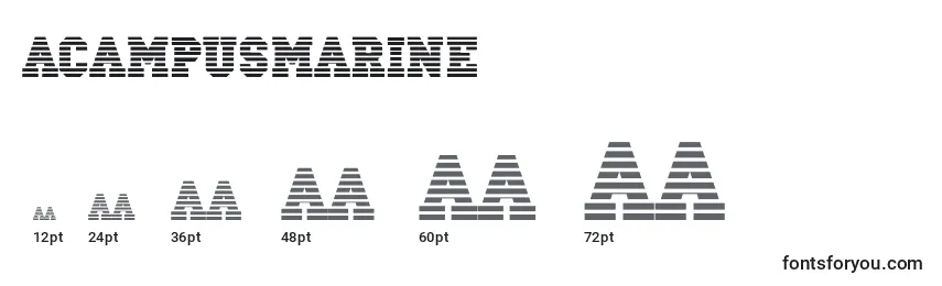 Размеры шрифта ACampusmarine