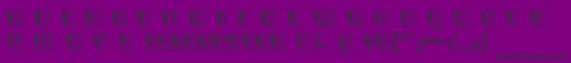 ShoCard Font – Black Fonts on Purple Background