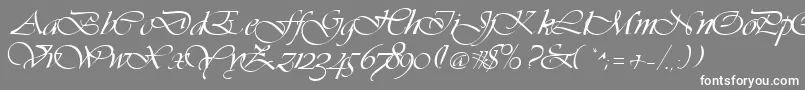 フォントVivaciousRegular – 灰色の背景に白い文字