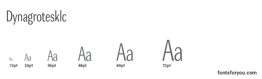 Dynagrotesklc Font Sizes
