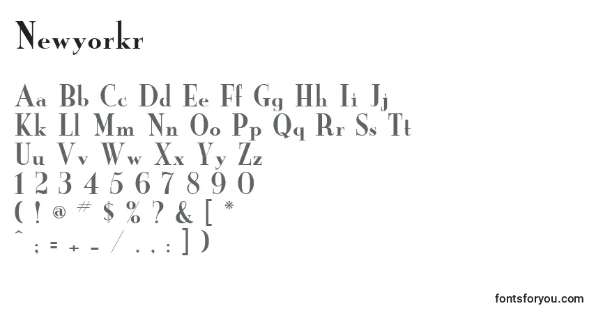 Шрифт Newyorkr – алфавит, цифры, специальные символы