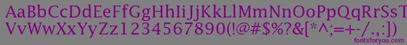 フォントLucidastd – 紫色のフォント、灰色の背景