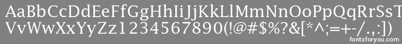 フォントLucidastd – 灰色の背景に白い文字