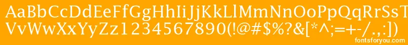 フォントLucidastd – オレンジの背景に白い文字