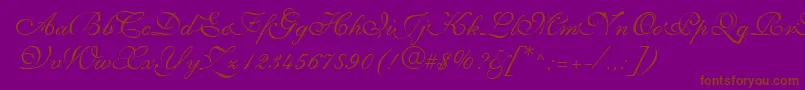 SyllingRegular Font – Brown Fonts on Purple Background